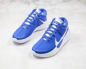Nike Zoom KD NZKD00041