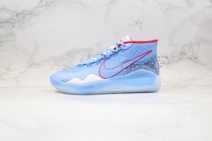 Nike Zoom KD NZKD00052