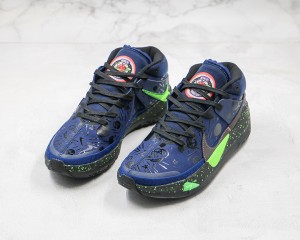 Nike Zoom KD NZKD00055