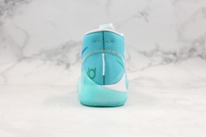 Nike Zoom KD NZKD00059