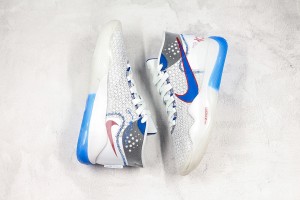 Nike Zoom KD NZKD00064