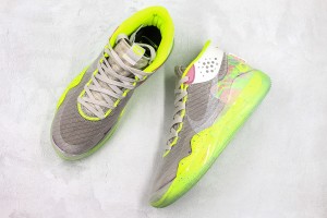 Nike Zoom KD NZKD00072
