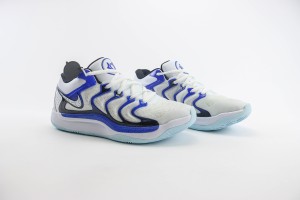 Nike Zoom KD NZKD0008