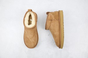 UGG Shoes UGGS1000100