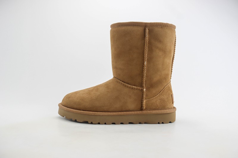 UGG Shoes UGGS100052