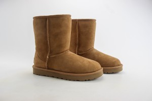 UGG Shoes UGGS100052