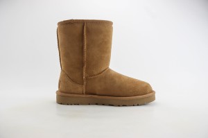 UGG Shoes UGGS100052