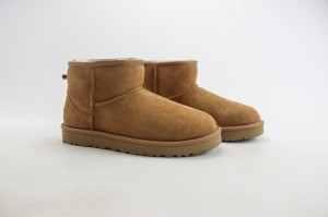 UGG Shoes UGGS100056