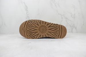 UGG Shoes UGGS100070