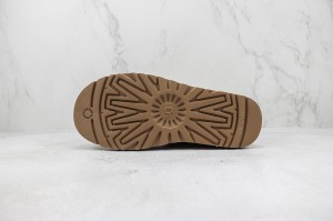 UGG Shoes UGGS100077