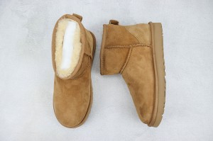 UGG Shoes UGGS100089