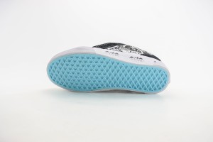 Vans Shoes VSS1000085